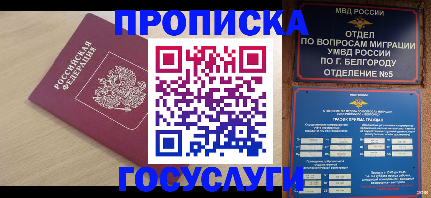 прописка законно в Буйе